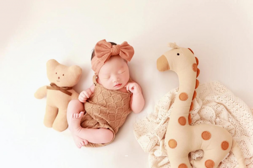 台湾宝宝虾的做法 台湾宝宝虾的做法